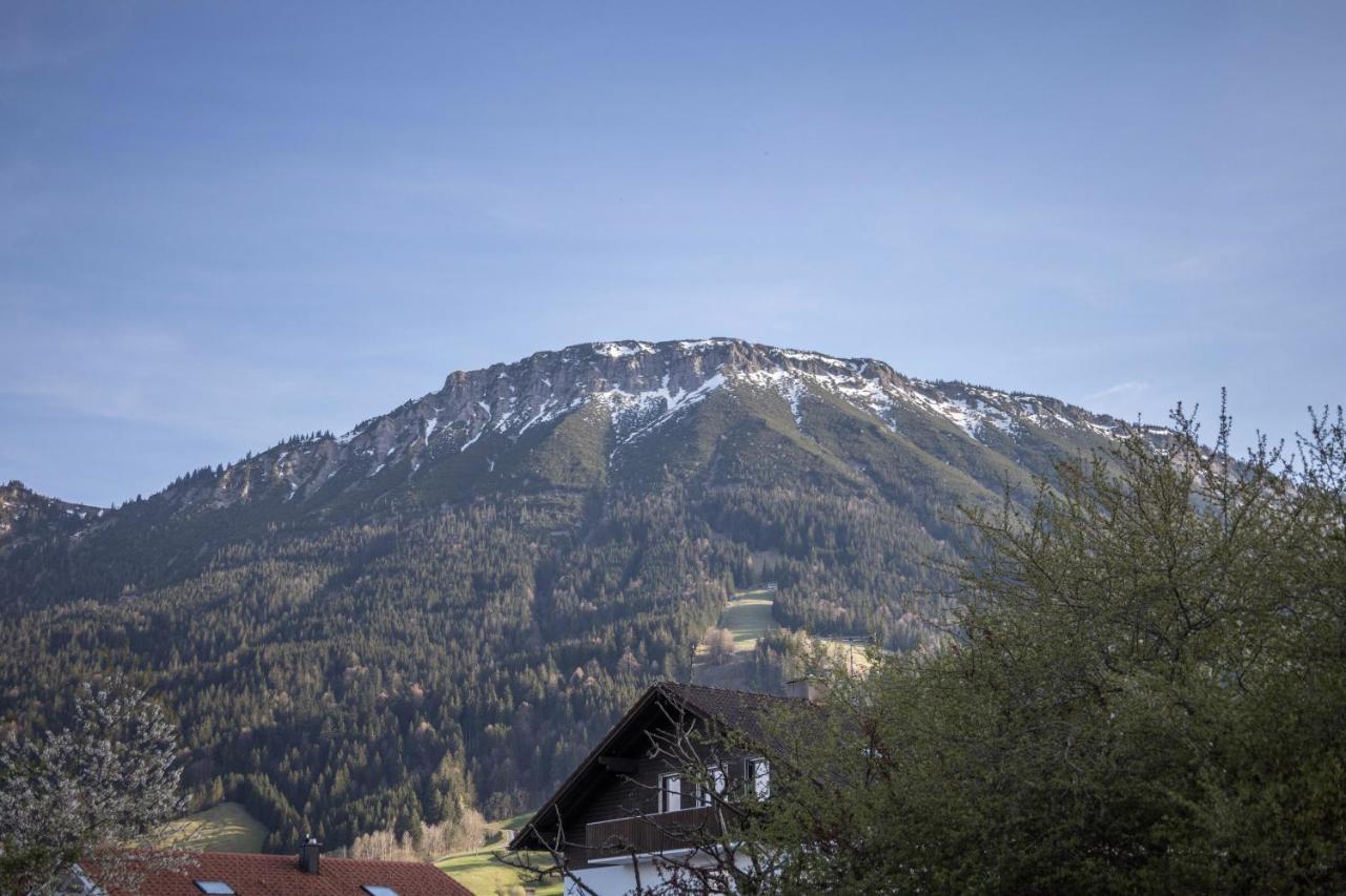 Haus Bergliebe - Zugspitzblick Pfronten Εξωτερικό φωτογραφία
